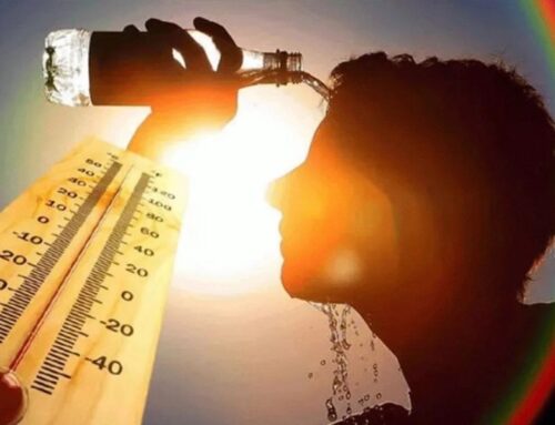 Heatwaves: Effects, Causes & Solutions