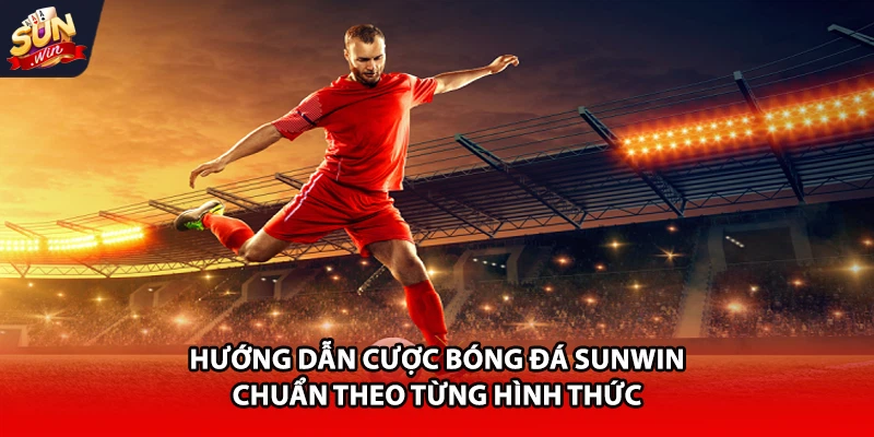 Hướng dẫn cược bóng đá Sunwin chuẩn theo từng hình thức