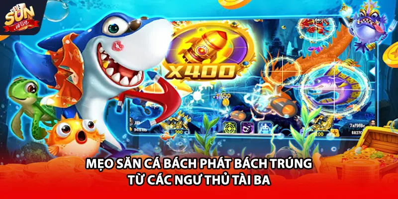 Mẹo săn cá bách phát bách trúng từ các ngư thủ tài ba